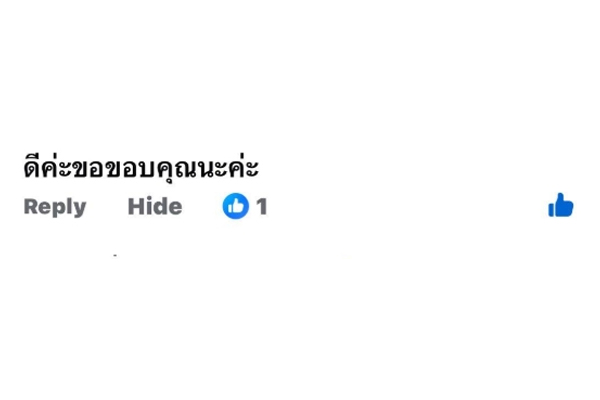 รีวิว copy 5